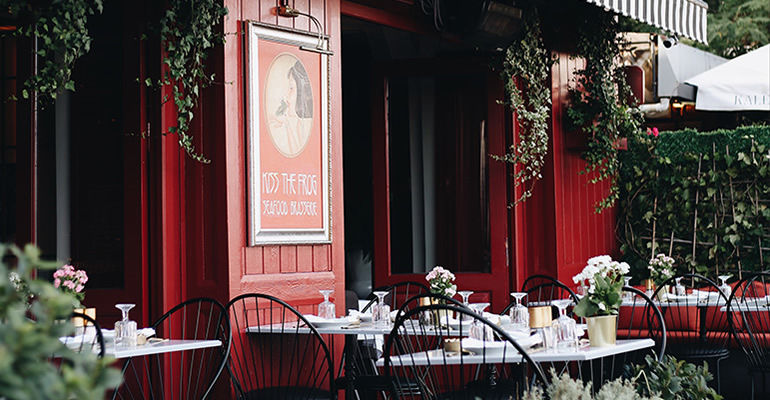 Kiss The Frog Restoran Rezervasyon Programı